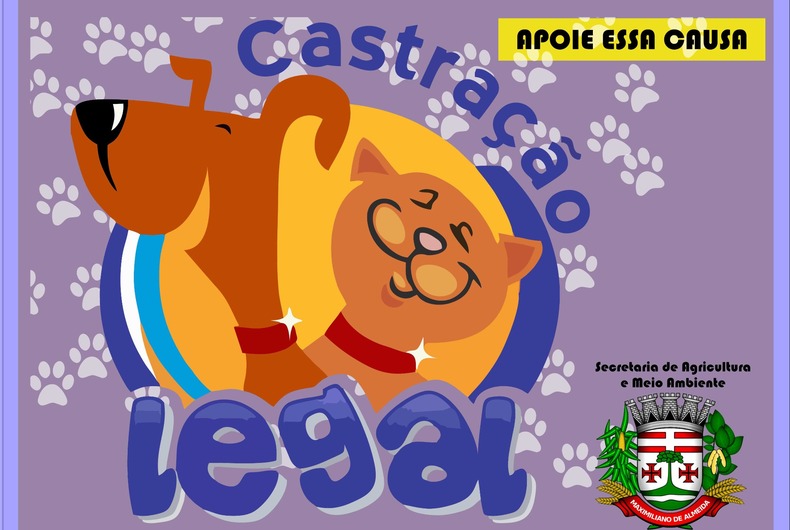 Projeto Castração Legal busca ações de saúde e bem-estar animal por meio de castração de cães e gatos em Maximiliano de Almeida.